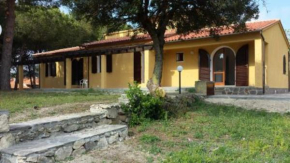 Villa Artistica app.1/trilo 6 (trilocale) Capoliveri